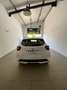 Nissan Micra 1.5 dci Business + 90cv - thumbnail 3