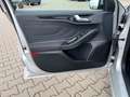 Ford Focus Turnier ST-Line X*Navi*Led*Pano*Kamera* Gris - thumbnail 19