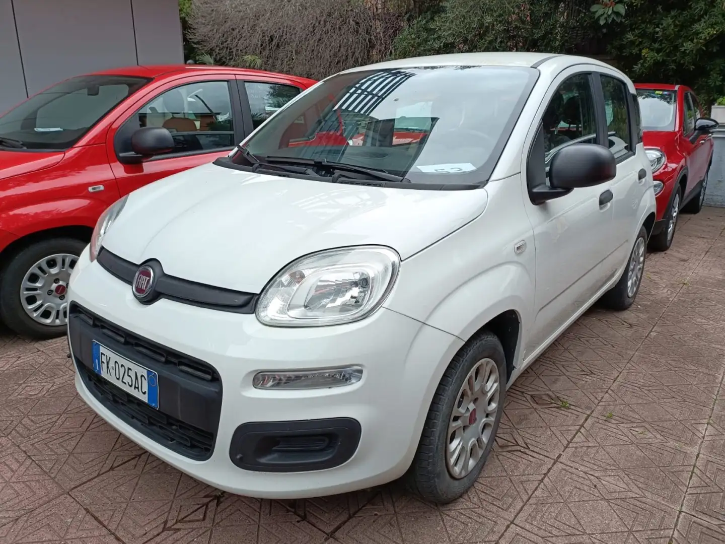 Fiat Panda 1.2 Easy Blanco - 1