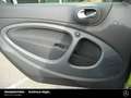 smart forTwo fortwo EQ cabrio Exclusive Kam PTS Hi. JBL Grün - thumbnail 18