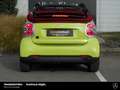 smart forTwo fortwo EQ cabrio Exclusive Kam PTS Hi. JBL Grün - thumbnail 10