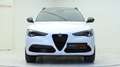Alfa Romeo Stelvio Veloce Q4 Facelift, Panoramadach, ACC Blanc - thumbnail 11