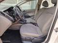 SEAT Ibiza hb 5-deurs 1.2TSi Style Clima LM15 Cruise control Wit - thumbnail 15