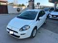 Fiat Punto Evo Punto Evo 5p 1.4 natural power Dynamic 70cv Blanco - thumbnail 3