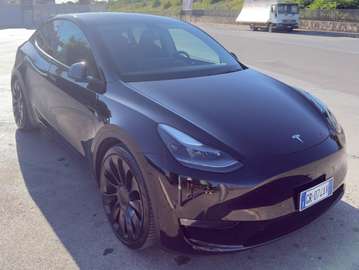 Model Y 2021 Performance Dual Motor awd