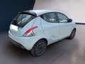 Lancia Ypsilon NUOVA My24 402 Oro 1.0 Verde - thumbnail 4