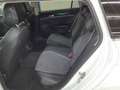Volkswagen Passat Variant 2,0TDI Elegance AHK LED Kamera Weiß - thumbnail 5