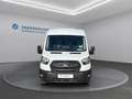 Ford Transit Trend 2,0 EcoBlue Weiß - thumbnail 2