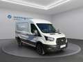 Ford Transit Trend 2,0 EcoBlue Weiß - thumbnail 3