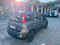 Fiat Panda 1.0 FireFly S&S Hybrid City Life Grigio - thumbnail 7