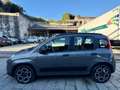 Fiat Panda 1.0 FireFly S&S Hybrid City Life Grigio - thumbnail 4