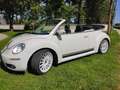 Volkswagen New Beetle New Beetle Cabriolet 1.6 Wit - thumbnail 1