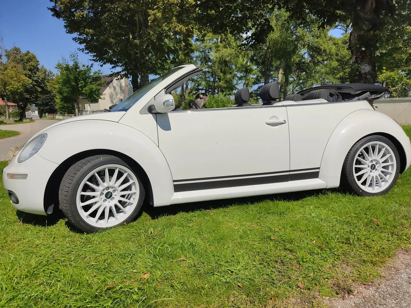 Volkswagen New Beetle New Beetle Cabriolet 1.6 White - 2