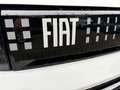 Fiat Grande Panda 1.2 Hybrid AUTOMATIK, LED, CARPLAY Wit - thumbnail 24