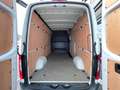 Mercedes-Benz Sprinter 317 L2H2 3665 mm SHZ Kamera AHK 3,5*t Klima 317/3 Weiß - thumbnail 8