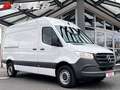 Mercedes-Benz Sprinter 317 L2H2 3665 mm Klima SHZ Kamera AHK 3,5*t 317/3 White - thumbnail 2