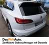 Volkswagen Touareg Atmosphere TDI 4MOTION Blanc - thumbnail 3