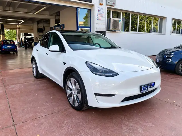 Tesla Model Y Model Y 2021 Long Range Dual Motor awd