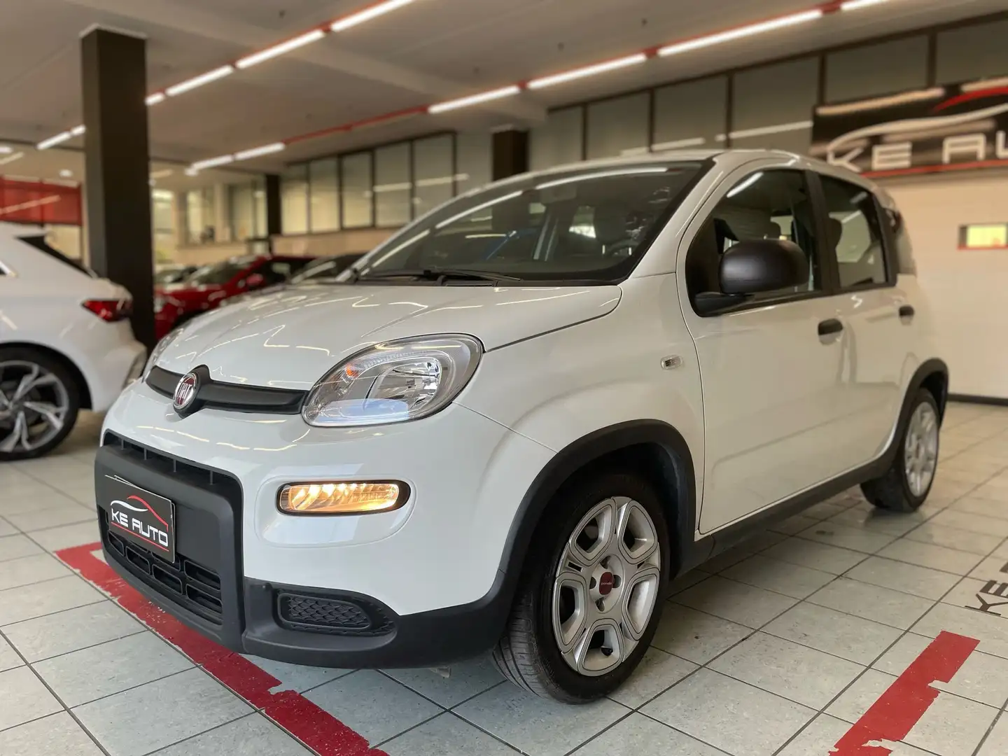 Fiat Panda 1.0 firefly hybrid s&s 70cv 5pti Bianco - 1