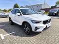 Volvo XC40 B3 Benzin Aut. / ACC / BLIS mit WKR Weiß - thumbnail 5