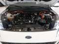 Ford Kuga 2,5 Duratec PHEV ST-Line X Aut. Weiß - thumbnail 20