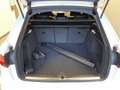 Audi A4 Avant S line 40TDI quatt 2x S line Matrix Black Na Weiß - thumbnail 9