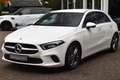 Mercedes-Benz A 200 Launch Edition Premium ACC Sfeerverlichting Wit - thumbnail 40