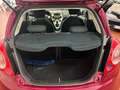 Ford Ka/Ka+ 1.2 + 69cv OK NEOPATENTATI 1 PROPRIETARIA Lilla - thumbnail 13