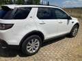 Land Rover Discovery Sport 2.0 td4 SE awd 150cv auto - thumbnail 5