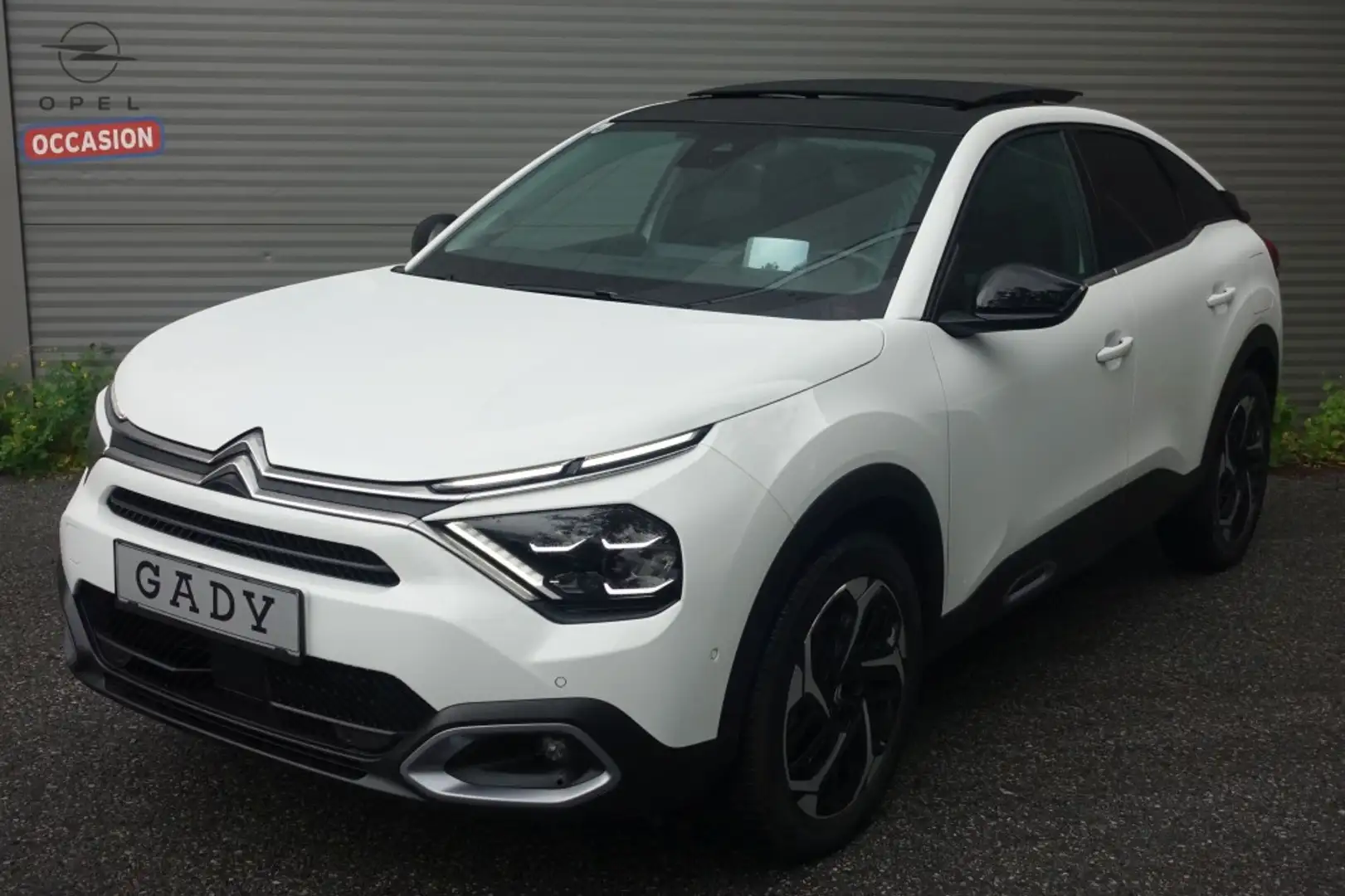 Citroen C4 BlueHDI 130 S&S EAT8 Aut. Max Blanc - 1