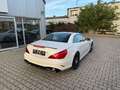 Mercedes-Benz SL 500 AMG Weiß - thumbnail 11
