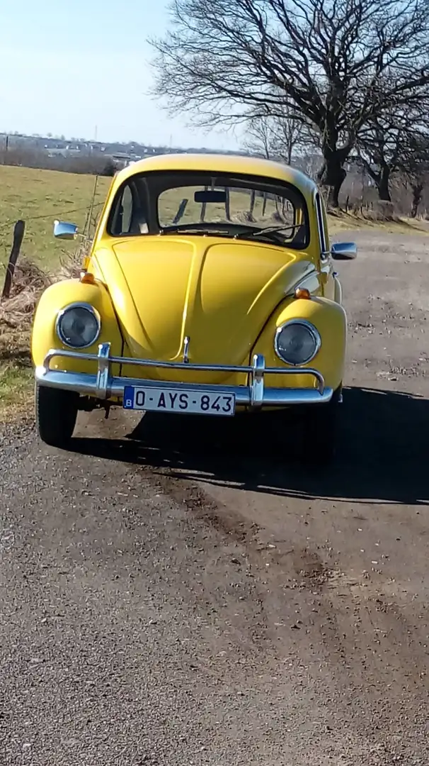 Volkswagen Käfer 1200 žuta - 2