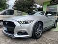 Ford Mustang 2.3 Ecoboost Km non Miglia Cruise PDC Kamera Post Silber - thumbnail 4
