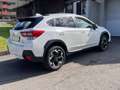 Subaru XV 2,0i e-Boxer CVT Allrad Xtra Weiß - thumbnail 6
