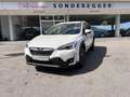 Subaru XV 2,0i e-Boxer CVT Allrad Xtra Weiß - thumbnail 1