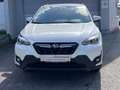Subaru XV 2,0i e-Boxer CVT Allrad Xtra Weiß - thumbnail 4