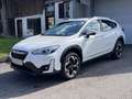 Subaru XV 2,0i e-Boxer CVT Allrad Xtra Weiß - thumbnail 3