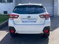 Subaru XV 2,0i e-Boxer CVT Allrad Xtra Weiß - thumbnail 7