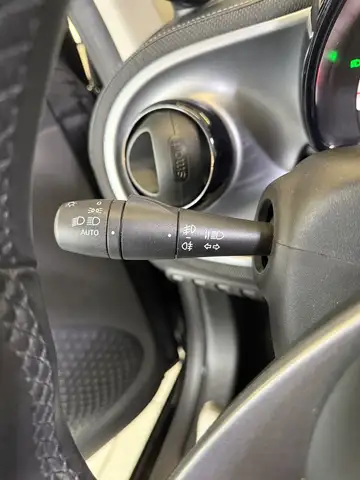smart Fortwo view 18