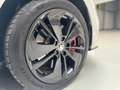Skoda Octavia RS iV Head-up Massage beheizLenk 4xSitzhzg 360° Blanc - thumbnail 17