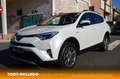 Toyota RAV 4 2.5 hybrid 2WD Advance Blanco - thumbnail 1