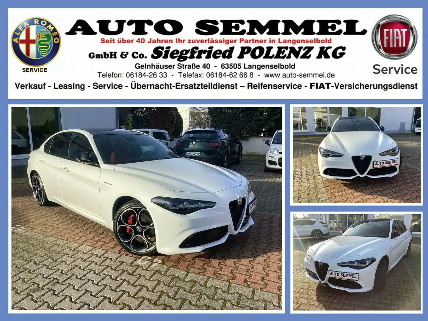 Alfa Romeo Giulia Veloce Q4 2.0 Turbo 280PS Weiß - 1