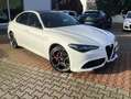 Alfa Romeo Giulia Veloce Q4 2.0 Turbo 280PS Weiß - thumbnail 2