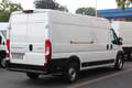 Peugeot Boxer 35 L4H2 140 *neuModell*360°PDC*Kamera*Holz Weiß - thumbnail 3