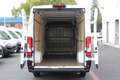 Peugeot Boxer 35 L4H2 140 *neuModell*360°PDC*Kamera*Holz Weiß - thumbnail 4