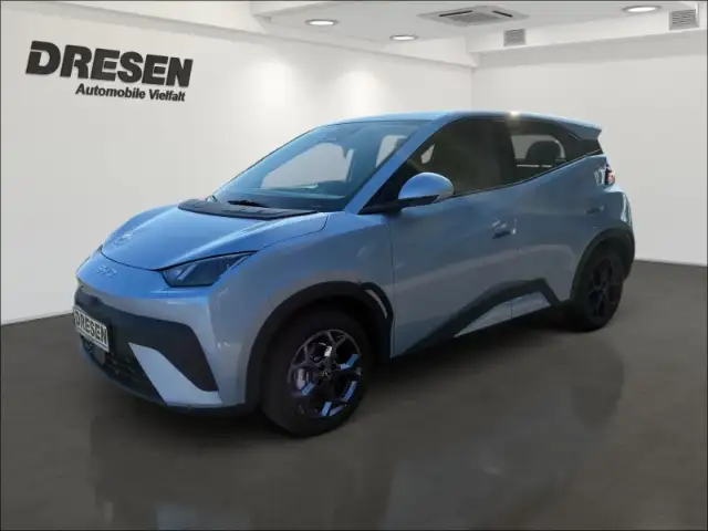 BYD Dolphin Boost/43,2 kWh/Sitzheizung/Rückfahrkamera/Navi/Kli