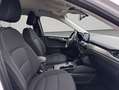 Ford Kuga 2.5 Duratec PHEV TITANIUM Weiß - thumbnail 14