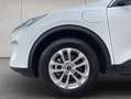 Ford Kuga 2.5 Duratec PHEV TITANIUM Weiß - thumbnail 17