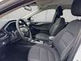 Ford Kuga 2.5 Duratec PHEV TITANIUM Weiß - thumbnail 8
