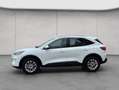 Ford Kuga 2.5 Duratec PHEV TITANIUM Weiß - thumbnail 2